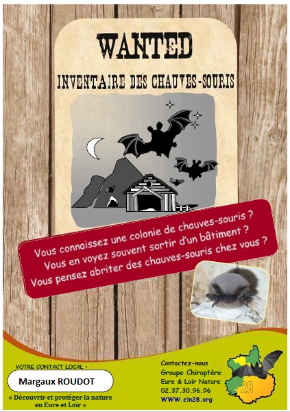 Wanted chauves souris